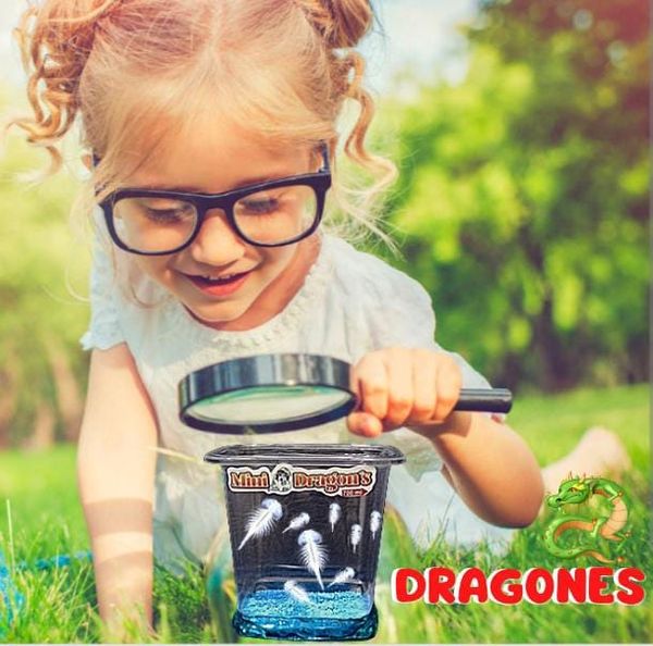 Acuario Magico De Mini Dragones 50% OFF - Image 2