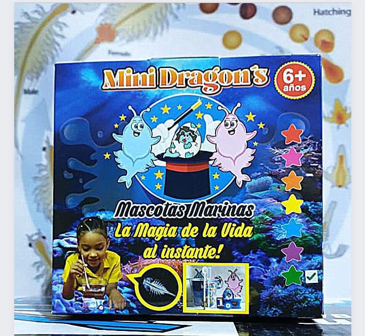 Acuario Magico De Mini Dragones 50% OFF - Image 4