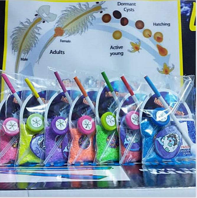 Acuario Magico De Mini Dragones 50% OFF - Image 5